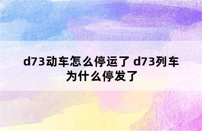 d73动车怎么停运了 d73列车为什么停发了